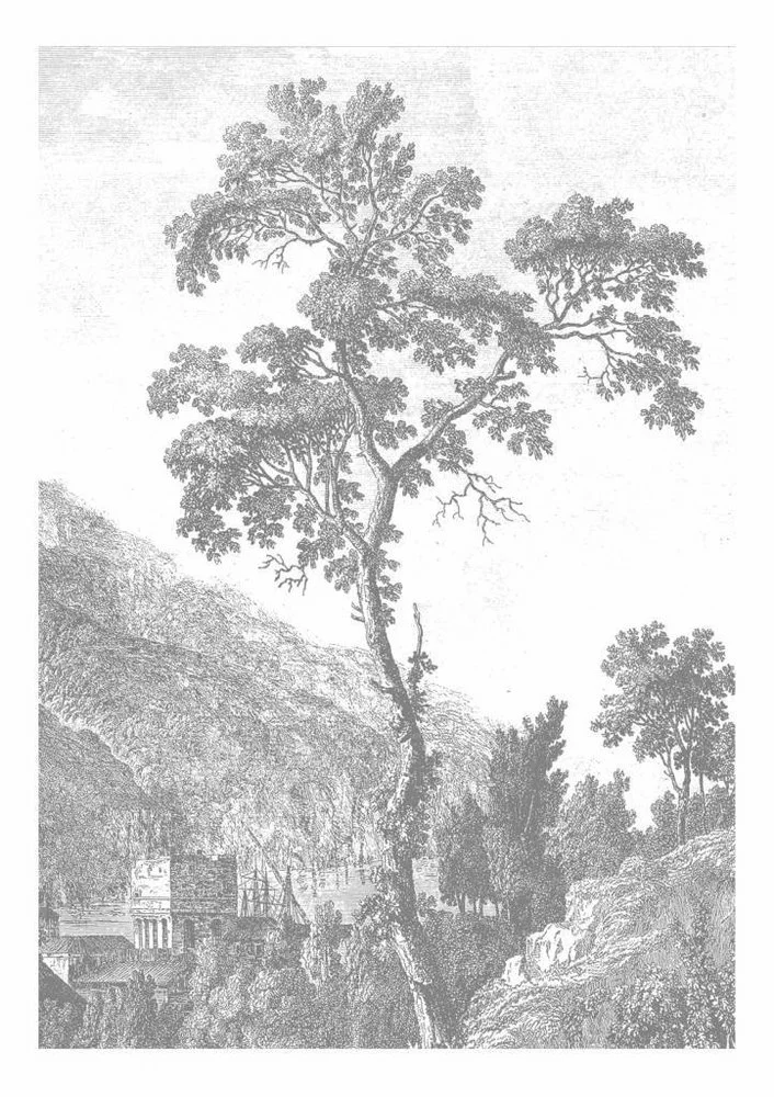 KEK Amsterdam Engraved Landscapes Behang