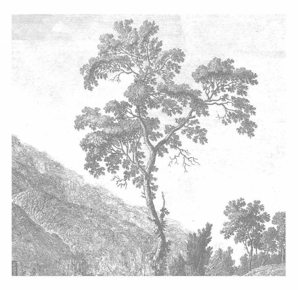 KEK Amsterdam Engraved Landscapes Behang - Afbeelding 4