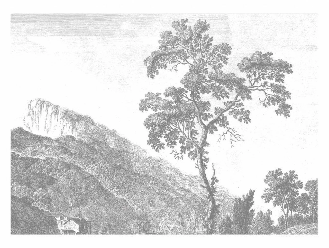 KEK Amsterdam Engraved Landscapes Behang - Afbeelding 5