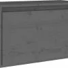 Furniture Limited - Wandkast 60x30x35 Cm Massief Grenenhout Grijs